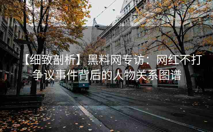 【细致剖析】黑料网专访：网红不打争议事件背后的人物关系图谱