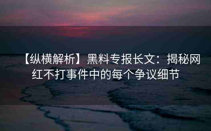 【纵横解析】黑料专报长文：揭秘网红不打事件中的每个争议细节