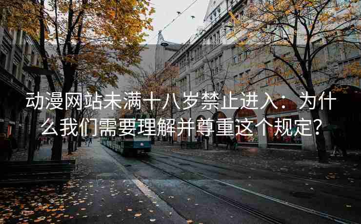 动漫网站未满十八岁禁止进入：为什么我们需要理解并尊重这个规定？